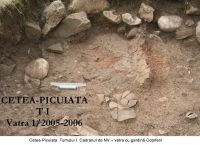 Chronicle of the Archaeological Excavations in Romania, 2006 Campaign. Report no. 209, Cetea, La Pietri<br /><a href='http://foto.cimec.ro/cronica/2006/209/rsz-8.jpg' target=_blank>Display the same picture in a new window</a>