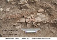 Chronicle of the Archaeological Excavations in Romania, 2006 Campaign. Report no. 209, Cetea, Pietri<br /><a href='http://foto.cimec.ro/cronica/2006/209/rsz-9.jpg' target=_blank>Display the same picture in a new window</a>