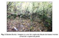 Cronica Cercetărilor Arheologice din România, Campania 2006. Raportul nr. 211