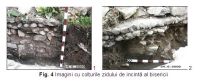 Cronica Cercetărilor Arheologice din România, Campania 2006. Raportul nr. 212