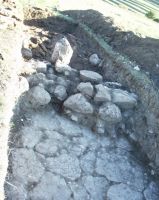 Chronicle of the Archaeological Excavations in Romania, 2007 Campaign. Report no. 1, Adamclisi, Cetate.<br /> Sector geofizica.<br /><a href='http://foto.cimec.ro/cronica/2007/001-ADAMCLISI-CT-TropaeumTraiani-C/geofizica/Foto5.jpg' target=_blank>Display the same picture in a new window</a>. Title: geofizica