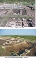 Chronicle of the Archaeological Excavations in Romania, 2007 Campaign. Report no. 13, Albeşti, La Cetate<br /><a href='http://foto.cimec.ro/cronica/2007/013-ALBESTI-CT-Cetate-C/1.jpg' target=_blank>Display the same picture in a new window</a>