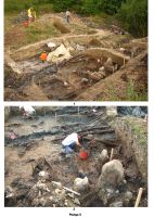 Chronicle of the Archaeological Excavations in Romania, 2007 Campaign. Report no. 17, Beclean, Băile Figa.<br /> Sector Figuri.<br /><a href='http://foto.cimec.ro/cronica/2007/017-BECLEAN-BN-BaileFiga-C/plansa-v.jpg' target=_blank>Display the same picture in a new window</a>