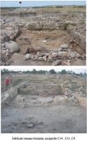 Cronica Cercetărilor Arheologice din România, Campania 2007. Raportul nr. 32.<br /> Sectorul 01sectorul-de-est.