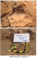 Cronica Cercetărilor Arheologice din România, Campania 2007. Raportul nr. 32, Capidava, Cetate.<br /> Sectorul 01sectorul-de-est.<br /><a href='http://foto.cimec.ro/cronica/2007/032-CAPIDAVA-CT-4/01sectorul-de-est/pl14.jpg' target=_blank>Priveşte aceeaşi imagine într-o fereastră nouă</a>. Titlu: 01sectorul-de-est