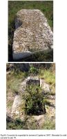 Cronica Cercetărilor Arheologice din România, Campania 2007. Raportul nr. 32, Capidava, Cetate.<br /> Sectorul 05territorium.<br /><a href='http://foto.cimec.ro/cronica/2007/032-CAPIDAVA-CT-4/05territorium/fig04.jpg' target=_blank>Priveşte aceeaşi imagine într-o fereastră nouă</a>. Titlu: 05territorium