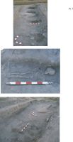 Cronica Cercetărilor Arheologice din România, Campania 2007. Raportul nr. 83, Isaccea, La Pontonul Vechi (Cetate, Eski-kale).<br /> Sectorul planse-IMDA.<br /><a href='http://foto.cimec.ro/cronica/2007/083-ISACCEA-TL-Noviodunum-C/pl-1-8.jpg' target=_blank>Priveşte aceeaşi imagine într-o fereastră nouă</a>