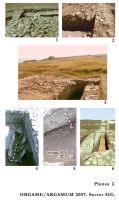 Chronicle of the Archaeological Excavations in Romania, 2007 Campaign. Report no. 88, Jurilovca, Cap Dolojman<br /><a href='http://foto.cimec.ro/cronica/2007/088-JURILOVCA-TL-Argamum-C/plansa-2.jpg' target=_blank>Display the same picture in a new window</a>