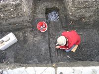 Cronica Cercetărilor Arheologice din România, Campania 2007. Raportul nr. 146