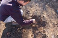Chronicle of the Archaeological Excavations in Romania, 2007 Campaign. Report no. 177, Tauţ, Cetatea Turcească<br /><a href='http://foto.cimec.ro/cronica/2007/177-TAUT-AR-Cetate-2/detaliu.JPG' target=_blank>Display the same picture in a new window</a>