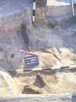 Chronicle of the Archaeological Excavations in Romania, 2007 Campaign. Report no. 193, Vlădeni, Coasta Belciugului<br /><a href='http://foto.cimec.ro/cronica/2007/193-VLADENI-IL-PopinaBlagodeasca-1/fig-2.jpg' target=_blank>Display the same picture in a new window</a>
