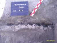 Chronicle of the Archaeological Excavations in Romania, 2007 Campaign. Report no. 193, Vlădeni, Coasta Belciugului<br /><a href='http://foto.cimec.ro/cronica/2007/193-VLADENI-IL-PopinaBlagodeasca-1/fig-7.JPG' target=_blank>Display the same picture in a new window</a>