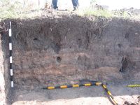Chronicle of the Archaeological Excavations in Romania, 2007 Campaign. Report no. 198, Şeuşa, Gorgan<br /><a href='http://foto.cimec.ro/cronica/2007/198/fig-01.JPG' target=_blank>Display the same picture in a new window</a>