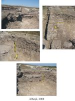 Chronicle of the Archaeological Excavations in Romania, 2008 Campaign. Report no. 5, Albeşti, La Cetate<br /><a href='http://foto.cimec.ro/cronica/2008/005/plansa-4-raport-2008.jpg' target=_blank>Display the same picture in a new window</a>