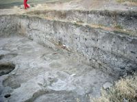 Cronica Cercetărilor Arheologice din România, Campania 2008. Raportul nr. 6