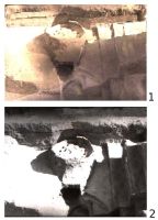 Cronica Cercetărilor Arheologice din România, Campania 2008. Raportul nr. 7, Banca Gară, Şapte Case<br /><a href='http://foto.cimec.ro/cronica/2008/007/1.jpg' target=_blank>Priveşte aceeaşi imagine într-o fereastră nouă</a>