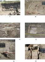Cronica Cercetărilor Arheologice din România, Campania 2008. Raportul nr. 21