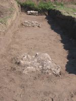 Chronicle of the Archaeological Excavations in Romania, 2008 Campaign. Report no. 26, Desa, Castraviţa<br /><a href='http://foto.cimec.ro/cronica/2008/026/1-22-august-2008-264.jpg' target=_blank>Display the same picture in a new window</a>