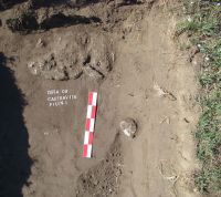 Chronicle of the Archaeological Excavations in Romania, 2008 Campaign. Report no. 26, Desa, Castraviţa<br /><a href='http://foto.cimec.ro/cronica/2008/026/DSC03980.JPG' target=_blank>Display the same picture in a new window</a>