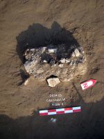 Chronicle of the Archaeological Excavations in Romania, 2008 Campaign. Report no. 26, Desa, Castraviţa<br /><a href='http://foto.cimec.ro/cronica/2008/026/DSC03994.JPG' target=_blank>Display the same picture in a new window</a>
