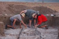 Cronica Cercetărilor Arheologice din România, Campania 2008. Raportul nr. 30