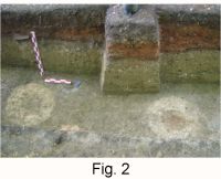 Chronicle of the Archaeological Excavations in Romania, 2008 Campaign. Report no. 33, Grădiştea De Munte, Sarmizegetusa Regia (Grădiştea Muncelului, Dealul Grădiştii)<br /><a href='http://foto.cimec.ro/cronica/2008/033/f2.jpg' target=_blank>Display the same picture in a new window</a>