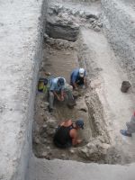 Chronicle of the Archaeological Excavations in Romania, 2008 Campaign. Report no. 34, Hârşova, Tell<br /><a href='http://foto.cimec.ro/cronica/2008/034/foto-2-nivelul-de-mortar-din-partea-centrala-a-sectiunii.jpg' target=_blank>Display the same picture in a new window</a>