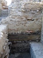 Cronica Cercetărilor Arheologice din România, Campania 2008. Raportul nr. 52