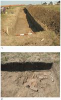 Cronica Cercetărilor Arheologice din România, Campania 2008. Raportul nr. 75