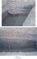 Chronicle of the Archaeological Excavations in Romania, 2008 Campaign. Report no. 83, Slava Rusă, Cetatea Fetei (Ibida, Kizil Hisar).<br /> Sector Ibida-planse-jpeg.<br /><a href='http://foto.cimec.ro/cronica/2008/083/plansa6-t-8-s-ii-sondaj-1.jpg' target=_blank>Display the same picture in a new window</a>
