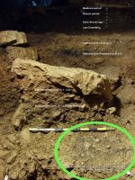 Cronica Cercetărilor Arheologice din România, Campania 2008. Raportul nr. 85