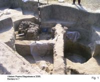 Cronica Cercetărilor Arheologice din România, Campania 2008. Raportul nr. 107