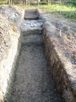 Cronica Cercetărilor Arheologice din România, Campania 2008. Raportul nr. 166