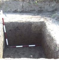 Chronicle of the Archaeological Excavations in Romania, 2008 Campaign. Report no. 168, Negrileşti, Şcoala Generală (La Punte, Pin, Curtea Şcolii).<br /> Sector plansa-IMDA.<br /><a href='http://foto.cimec.ro/cronica/2008/168/pl-7-2.JPG' target=_blank>Display the same picture in a new window</a>