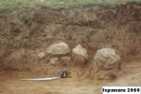 Chronicle of the Archaeological Excavations in Romania, 2009 Campaign. Report no. 173, Zorile, Zorile, Ispanaru, Floriile<br /><a href='http://foto.cimec.ro/cronica/2009/evaluari/173/4-adamclisi-isp-09-2.JPG' target=_blank>Display the same picture in a new window</a>