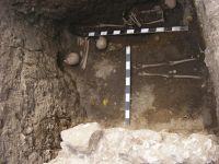 Cronica Cercetărilor Arheologice din România, Campania 2009. Raportul nr. 112