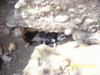 Cronica Cercetărilor Arheologice din România, Campania 2009. Raportul nr. 121, Focşani, Grădina Publică<br /><a href='http://foto.cimec.ro/cronica/2009/preventive/121/FOCSANI-VN-Piata-Unirii30.JPG' target=_blank>Priveşte aceeaşi imagine într-o fereastră nouă</a>