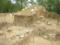 Cronica Cercetărilor Arheologice din România, Campania 2009. Raportul nr. 154