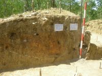 Cronica Cercetărilor Arheologice din România, Campania 2009. Raportul nr. 154