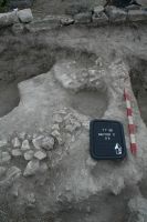 Chronicle of the Archaeological Excavations in Romania, 2009 Campaign. Report no. 1, Adamclisi, Cetate.<br /> Sector 06-sectorC-planse.<br /><a href='http://foto.cimec.ro/cronica/2009/sistematice/001/06-sectorC-planse/8-S6-detaliu.JPG' target=_blank>Display the same picture in a new window</a>. Title: 06-sectorC-planse
