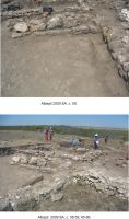 Chronicle of the Archaeological Excavations in Romania, 2009 Campaign. Report no. 3, Albeşti, La Cetate<br /><a href='http://foto.cimec.ro/cronica/2009/sistematice/003/2-Albesti-2009.jpg' target=_blank>Display the same picture in a new window</a>