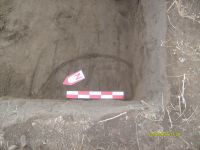 Chronicle of the Archaeological Excavations in Romania, 2009 Campaign. Report no. 19, Desa, Castraviţa<br /><a href='http://foto.cimec.ro/cronica/2009/sistematice/019/DESA-DJ-15.JPG' target=_blank>Display the same picture in a new window</a>