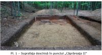Chronicle of the Archaeological Excavations in Romania, 2009 Campaign. Report no. 26, Grădiştea De Munte, Sarmizegetusa Regia (Grădiştea Muncelului, Dealul Grădiştii)<br /><a href='http://foto.cimec.ro/cronica/2009/sistematice/026/Pl-1.jpg' target=_blank>Display the same picture in a new window</a>