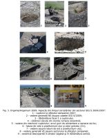 Chronicle of the Archaeological Excavations in Romania, 2009 Campaign. Report no. 36, Jurilovca, Capul Dolojman<br /><a href='http://foto.cimec.ro/cronica/2009/sistematice/036/03-JURILOVCA-TL-Argamum.jpg' target=_blank>Display the same picture in a new window</a>