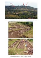 Chronicle of the Archaeological Excavations in Romania, 2009 Campaign. Report no. 55, Pietroasa Mică, Gruiu Dării<br /><a href='http://foto.cimec.ro/cronica/2009/sistematice/055/6-PIETROASA-MICA-BZ-GruiuDarii.jpg' target=_blank>Display the same picture in a new window</a>