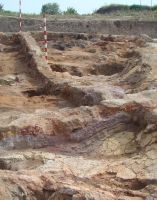 Chronicle of the Archaeological Excavations in Romania, 2009 Campaign. Report no. 58, Poduri, Dealul Ghindarului (Rusăieşti)<br /><a href='http://foto.cimec.ro/cronica/2009/sistematice/058/4Locuinta-9-nivelul-podelei.jpg' target=_blank>Display the same picture in a new window</a>