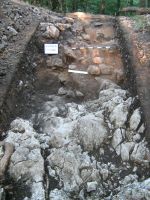 Chronicle of the Archaeological Excavations in Romania, 2009 Campaign. Report no. 59, Racoş, Piatra Detunată (Durduia)<br /><a href='http://foto.cimec.ro/cronica/2009/sistematice/059/3-Resturi-ale-zidului-dacic.jpg' target=_blank>Display the same picture in a new window</a>