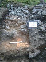Chronicle of the Archaeological Excavations in Romania, 2009 Campaign. Report no. 59, Racoş, Piatra Detunată (Durduia)<br /><a href='http://foto.cimec.ro/cronica/2009/sistematice/059/4-Zidul-din-imaginea-3-incendiat-si-partial-prabusit.jpg' target=_blank>Display the same picture in a new window</a>