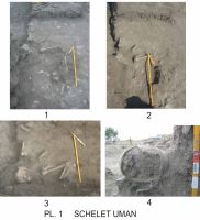 Chronicle of the Archaeological Excavations in Romania, 2010 Campaign. Report no. 1, Adamclisi, Cetate.<br /> Sector Sector-A-a.<br /><a href='http://foto.cimec.ro/cronica/2010/001/Sector-A-a/60892-08-Tropaeum-Traiani-Sector-A-schelet.jpg' target=_blank>Display the same picture in a new window</a>. Title: Sector-A-a