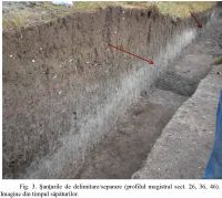 Chronicle of the Archaeological Excavations in Romania, 2010 Campaign. Report no. 7, Bucşani, La Pod<br /><a href='http://foto.cimec.ro/cronica/2010/007/101387-01-Bucsani-GR-3.jpg' target=_blank>Display the same picture in a new window</a>